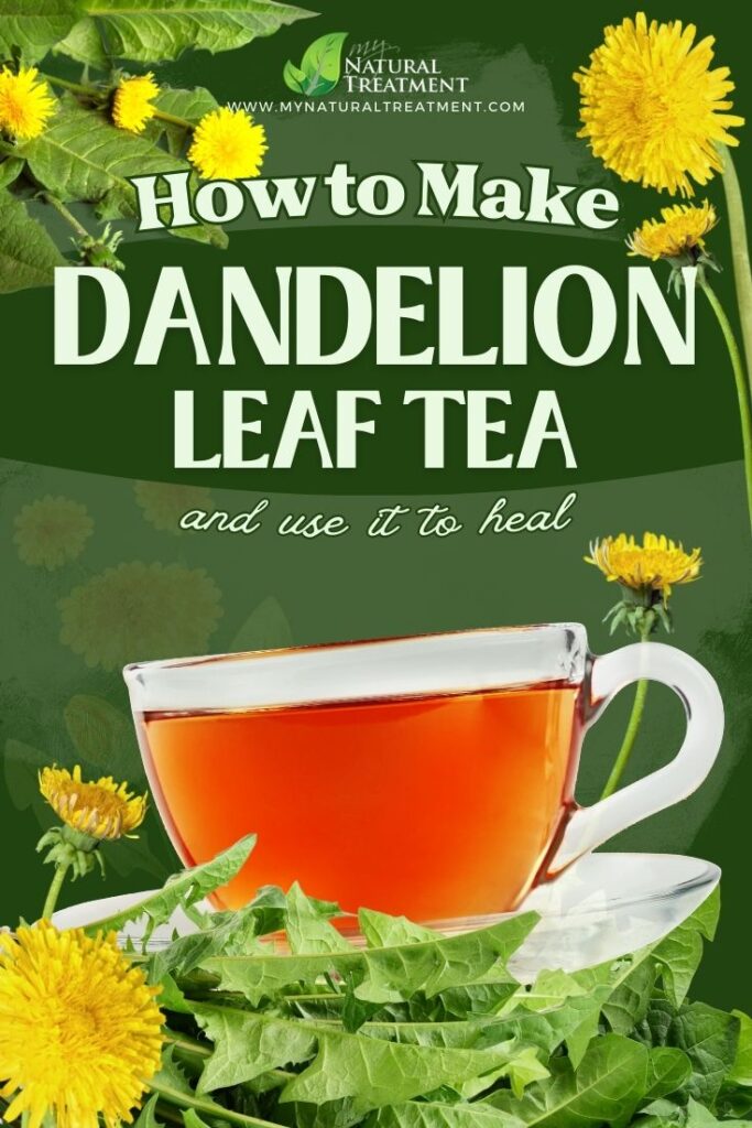 Dandelion Leaf Tea - 5 Health Benefits of Dandelion Leaf Tea & How to Make It - MyNaturalTreatment.com