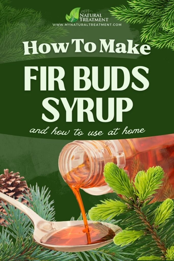 Fir Buds Syrup Recipe and How to Use Fir Buds Syrup - MyNaturalTreatment.com - MyNaturalTreatment.com