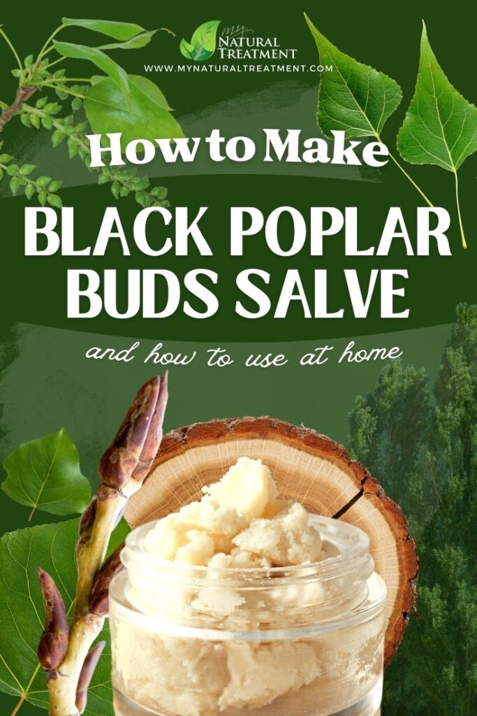 How to Make Black Poplar Buds Salve Recipe and How to Use - NaturalTreatment.com