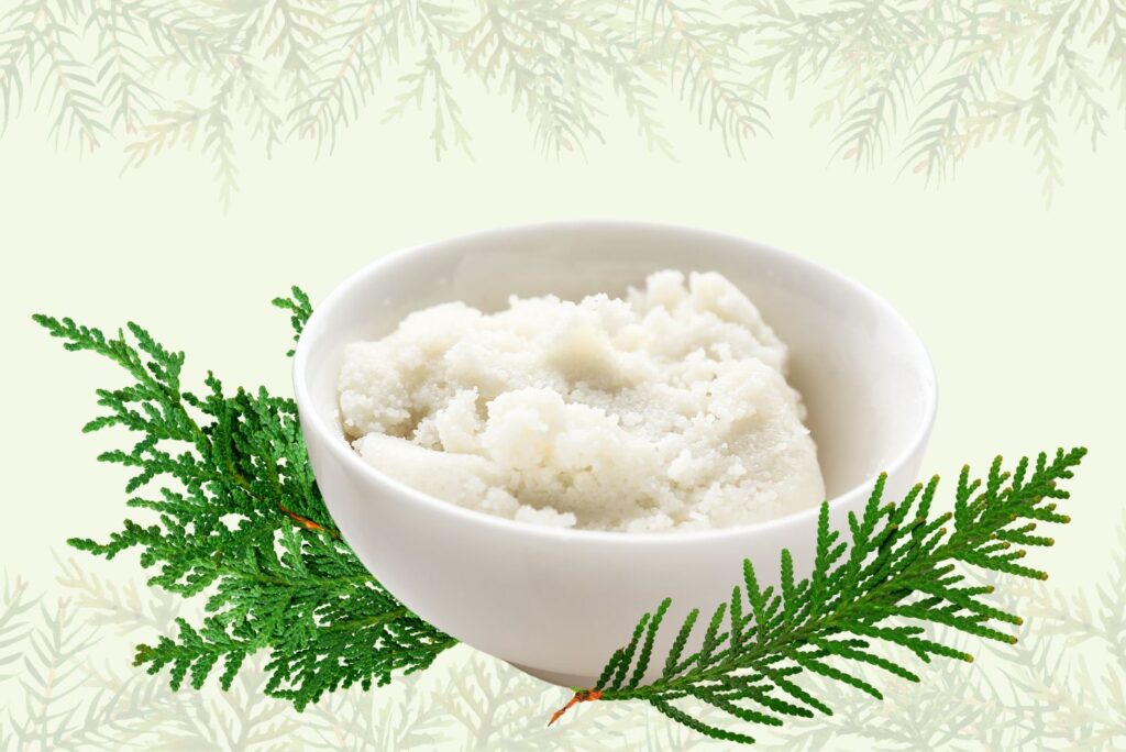 Thuja Salve Recipe and How to Use at Home - MyNaturalTreatment.com