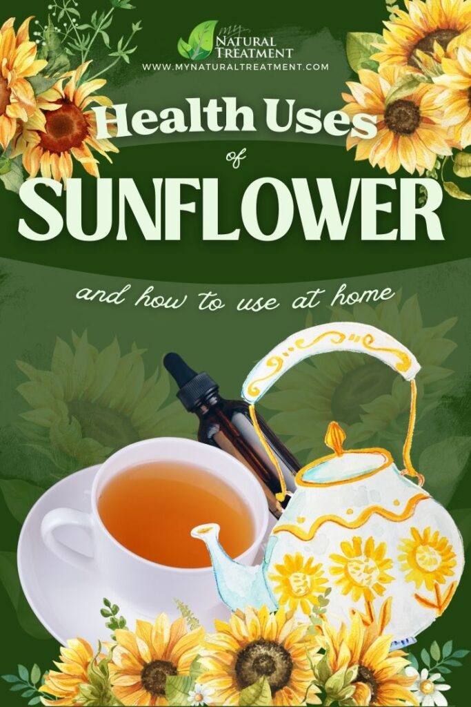 11 Amazing Health Uses of Sunflower with Recipes - MyNaturalTreatment.com