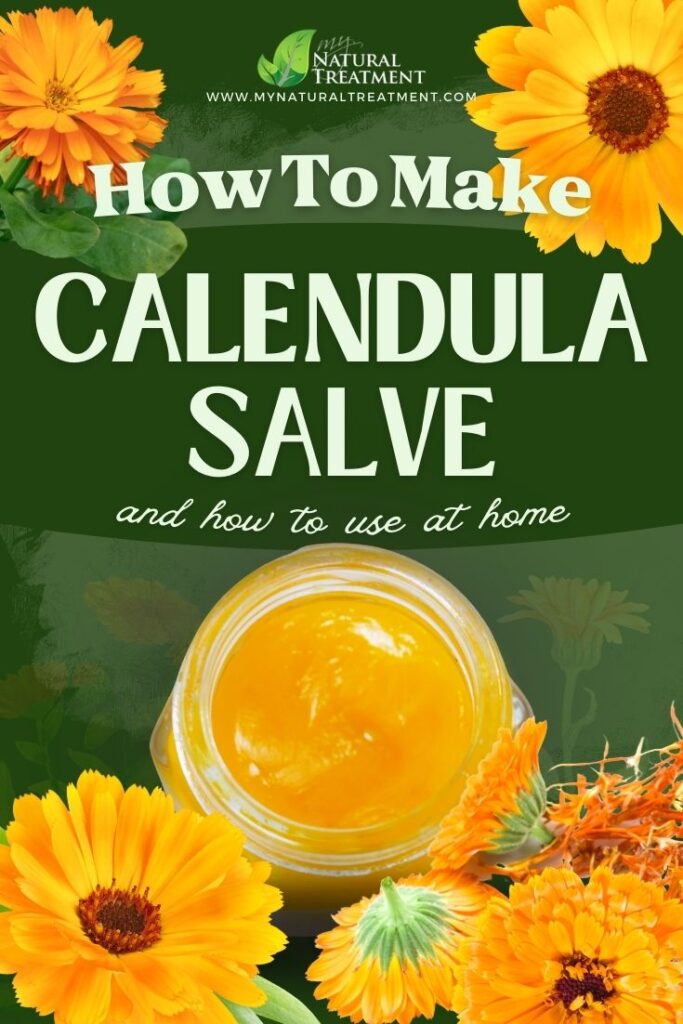How to Make Calendula Salve and How to Use Calendula Salve  - NaturalTreatment.com