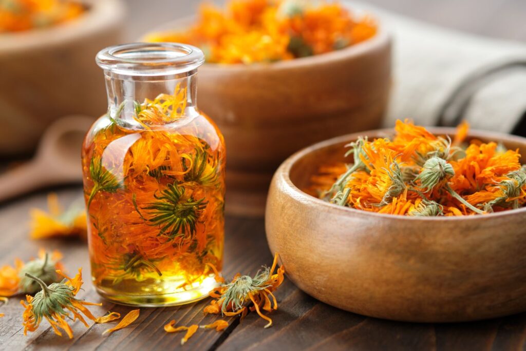 How to Make Calendula Tincture and What to Use It For - NaturalTreatment.com