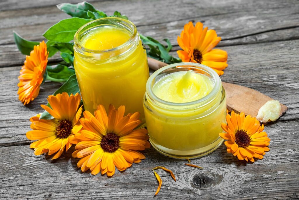 How to Make Marigold Salve and What to Use It For - NaturalTreatment.com - How to Make Calendula Salve