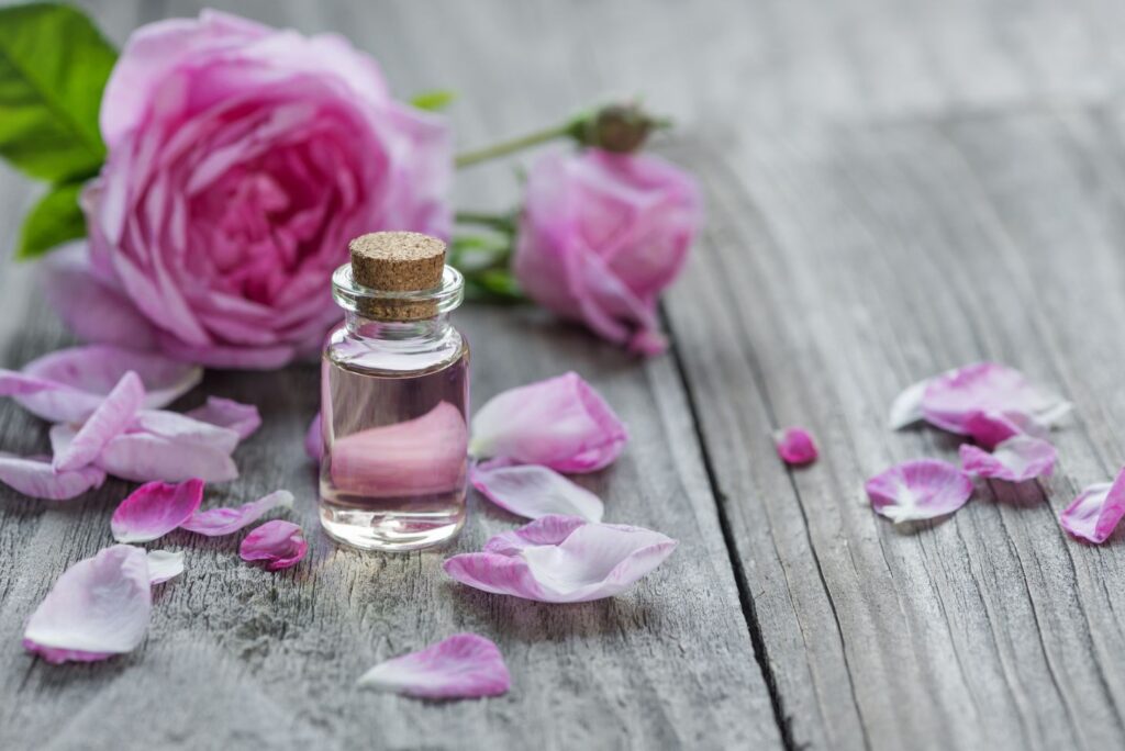 How to Make Rose Oil at Home & Use It for Health and Beauty - NaturalTreatment.com