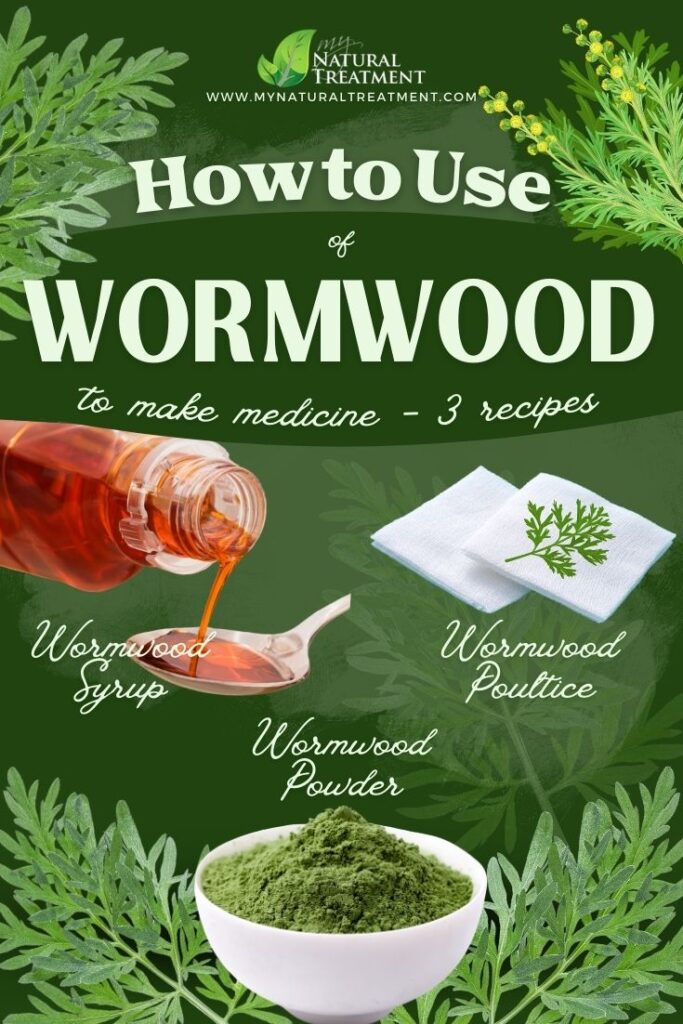 Wormwood Syrup Wormwood Powder Wormwood Poultice Wormwood Uses Wormwood Benefits Health Uses of Wormwood How to Use at Home NaturalTreatment.com