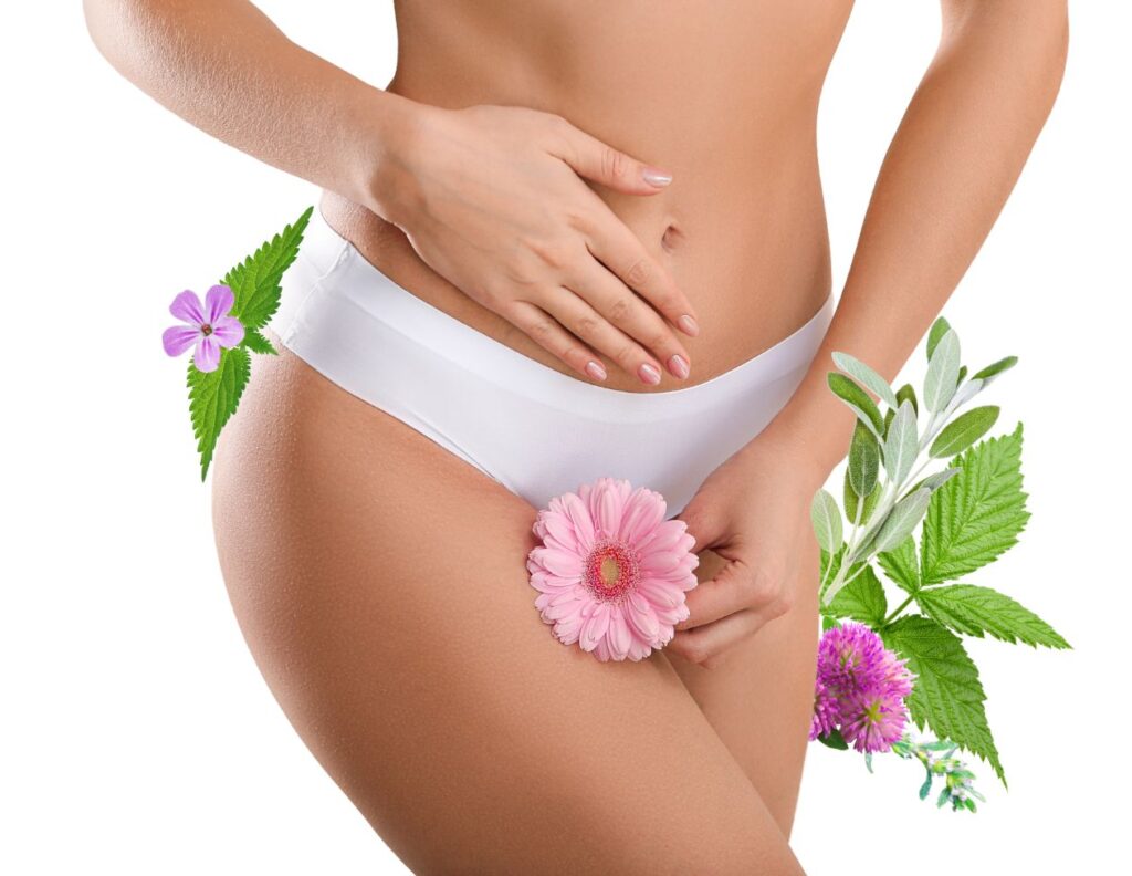 3 Powerful Natural Remedies for Anovulation - Herbs for Anovulation - MyNaturalTreatment.com