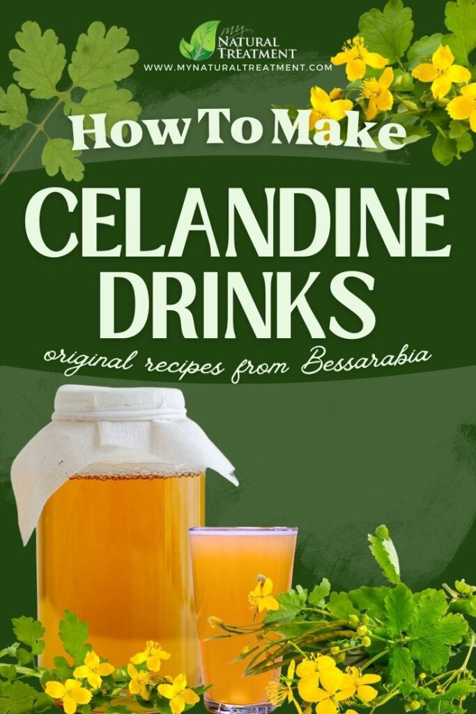 How to Harvest Celandine - How to Make Celandine Fermented Drink Recipes - MyNaturalTreatment.com