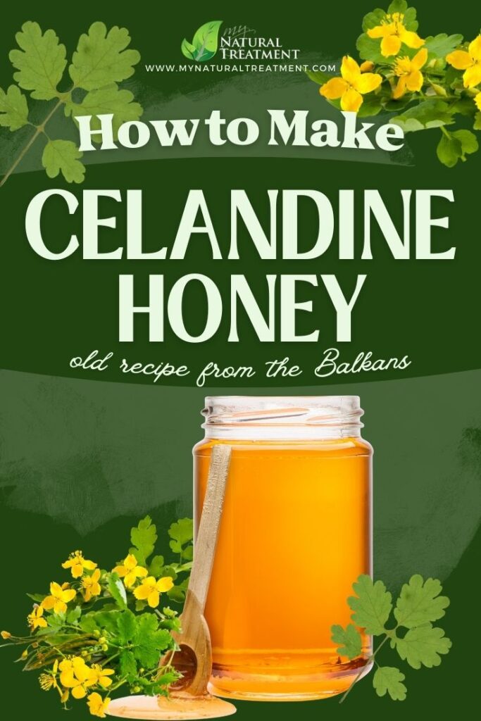 How to Make Celandine Honey Recipe - Celandine Honey Uses - MyNaturalTreatment.com