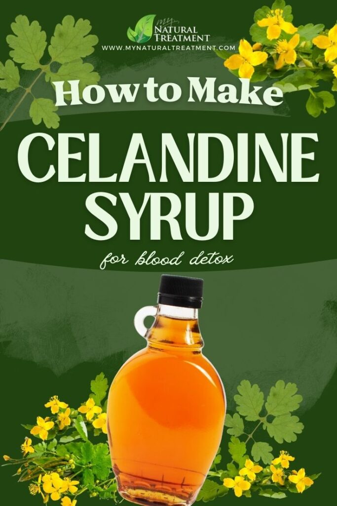 How to Make Celandine Syrup Recipe - Celandine Syrup Uses - MyNaturalTreatment.com