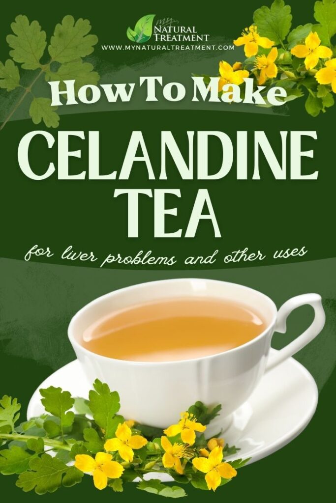 How to Make Celandine Tea Recipe - Celandine Tea Uses  - Natural Remedies for Polyps - MyNaturalTreatment.com