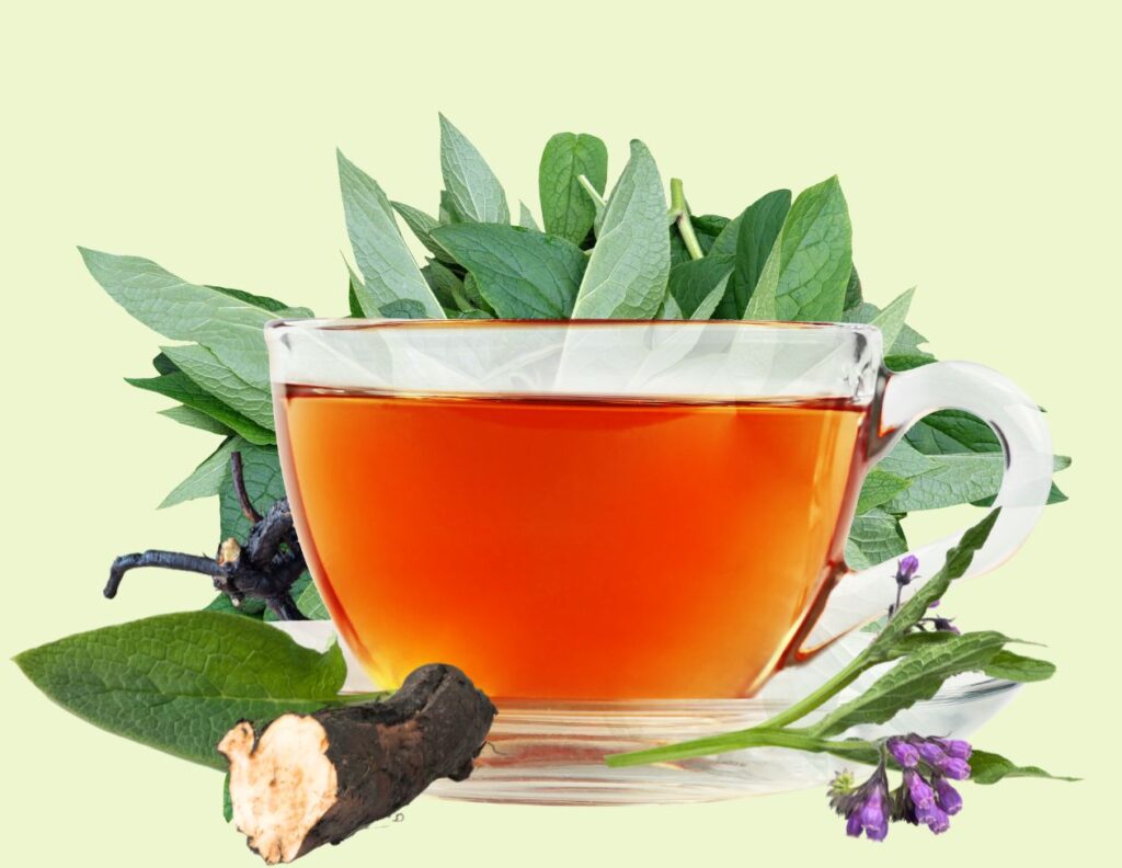 How to Make Comfrey Root Decoction and Use at Home - Comfrey Root Decoction Uses - MyNaturalTreatment.com