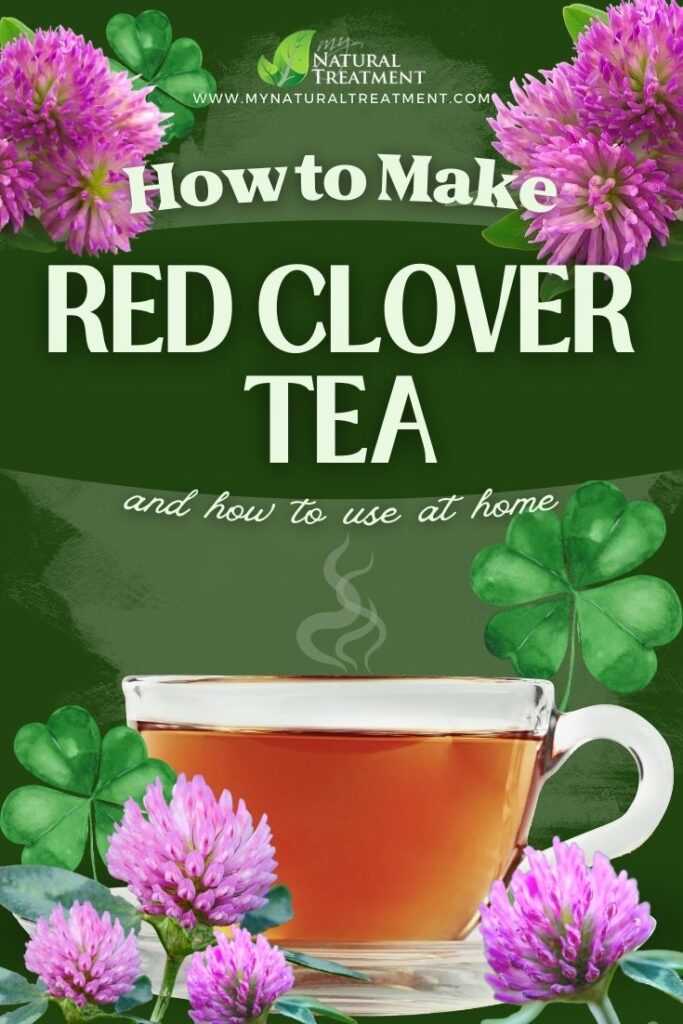 How to Make Red Clover Tea - Red Clover Tea Uses - MyNaturalTreatment.com - NaturalTreatment.com