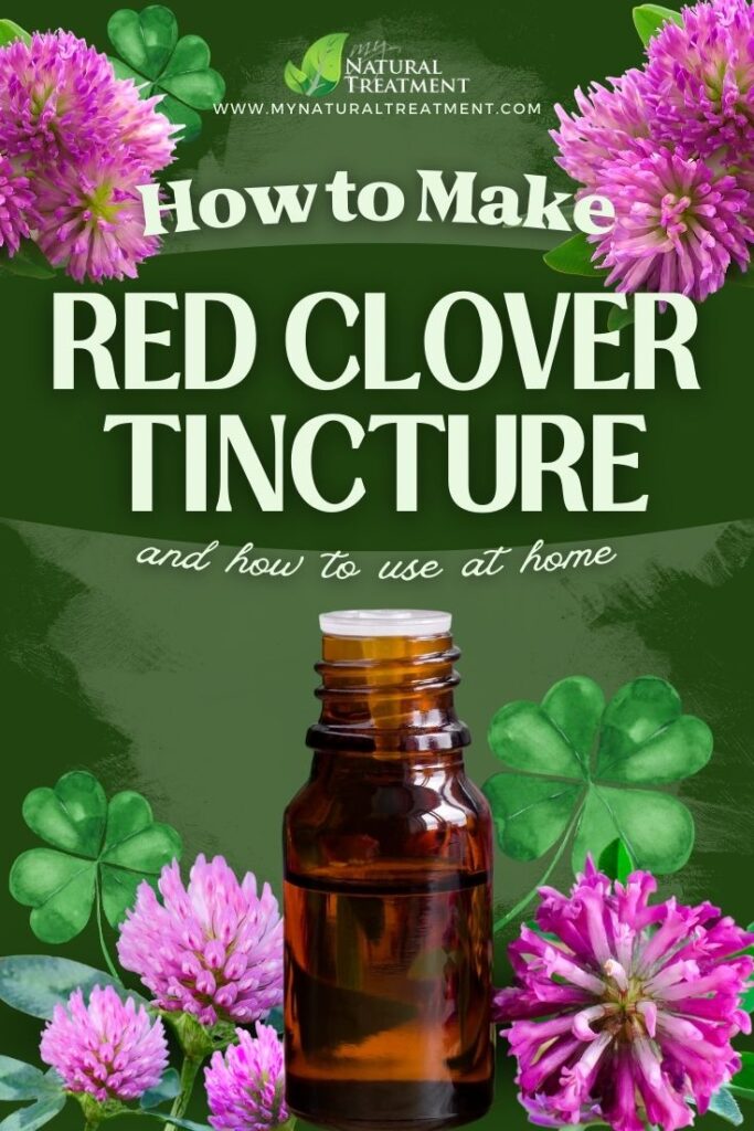How to Make Red Clover Tincture Red Clover Tincture Uses MyNaturalTreatment.com 2