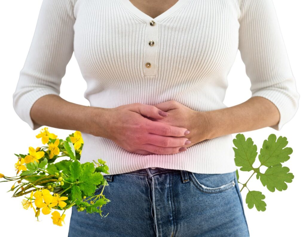 How to Use Celandine for Polyps - 3 Amazing Natural Remedies - MyNaturalTreatment.com