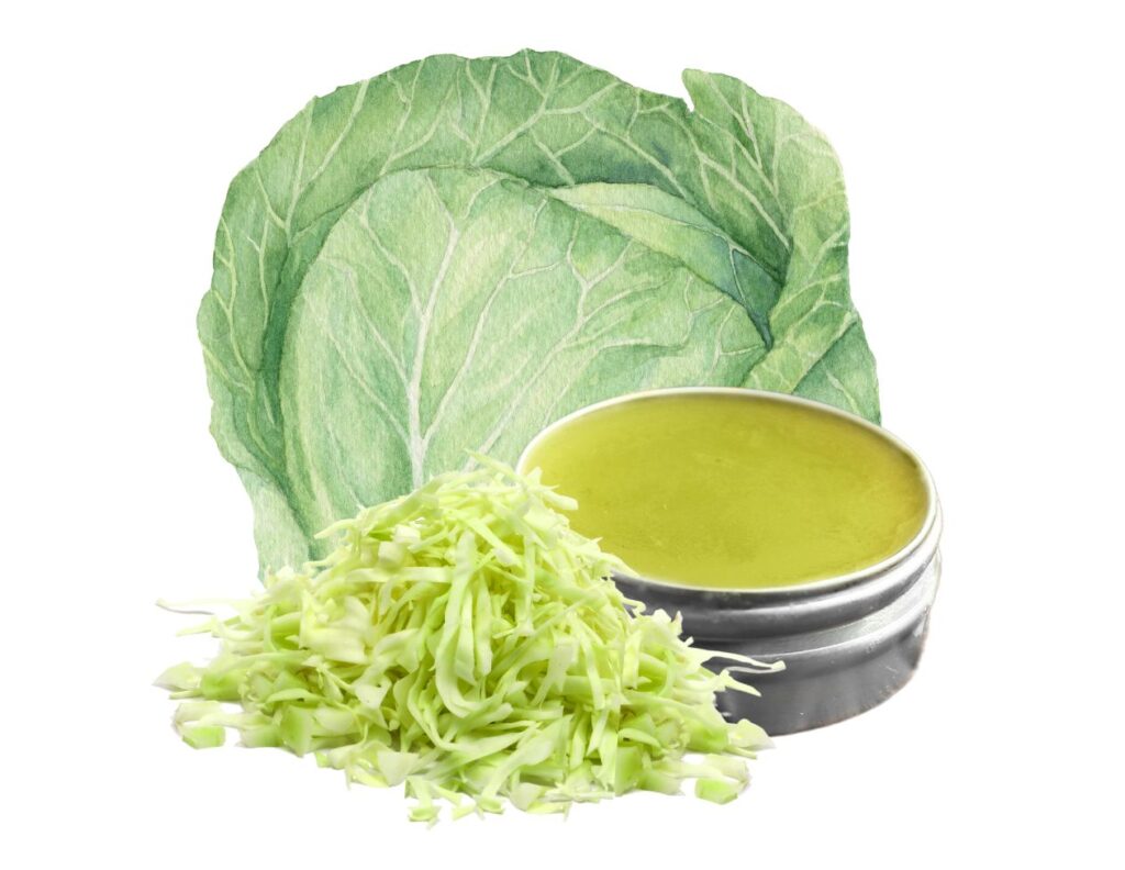 Original Cabbage Salve Recipe - How to Make Cabbage Salve for Pain Relief - MyNaturalTreatment.com