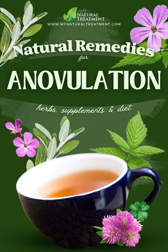 Powerful Natural Remedies for Anovulation - Herbs for Anovulation - MyNaturalTreatment.com - NaturalTreatment.com