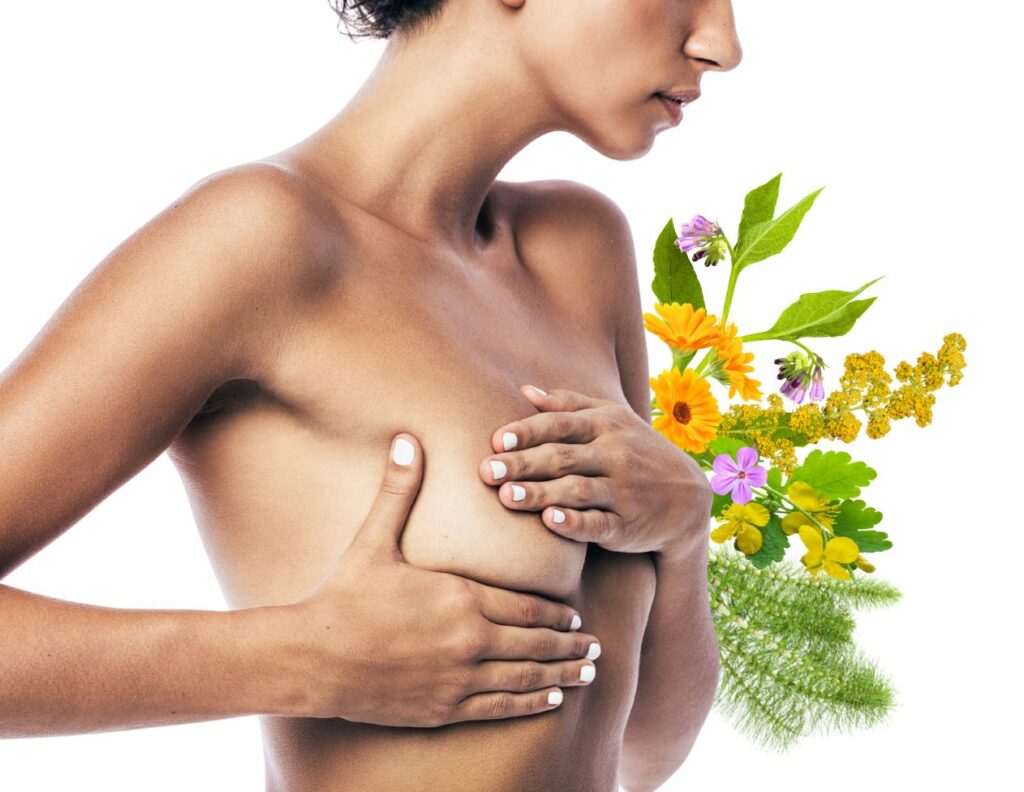 Best Herbs for Breast Cancer and How to Use - Breast Cancer Herbs - MyNaturalTreatment.com