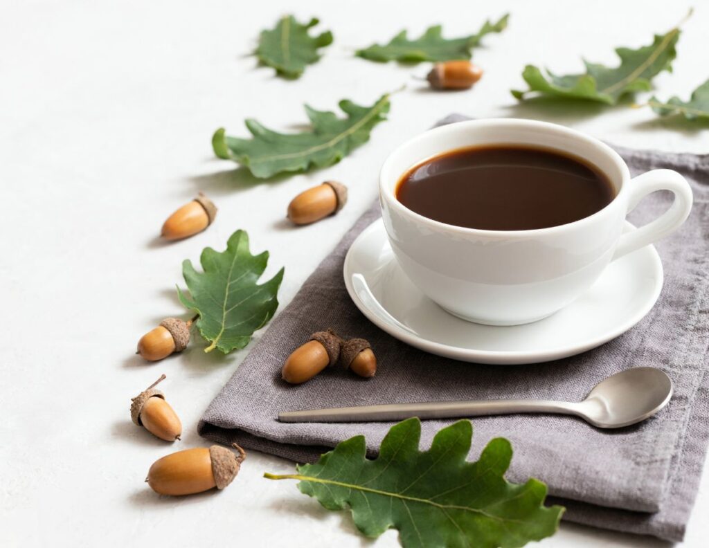 How to Make Acorn Coffee and Its Uses - MyNaturalTreatment.com