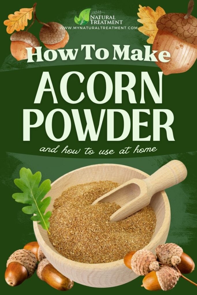 How to Make Acorn Powder Uses - How to Harvest Acorns - NaturalTreatment.com