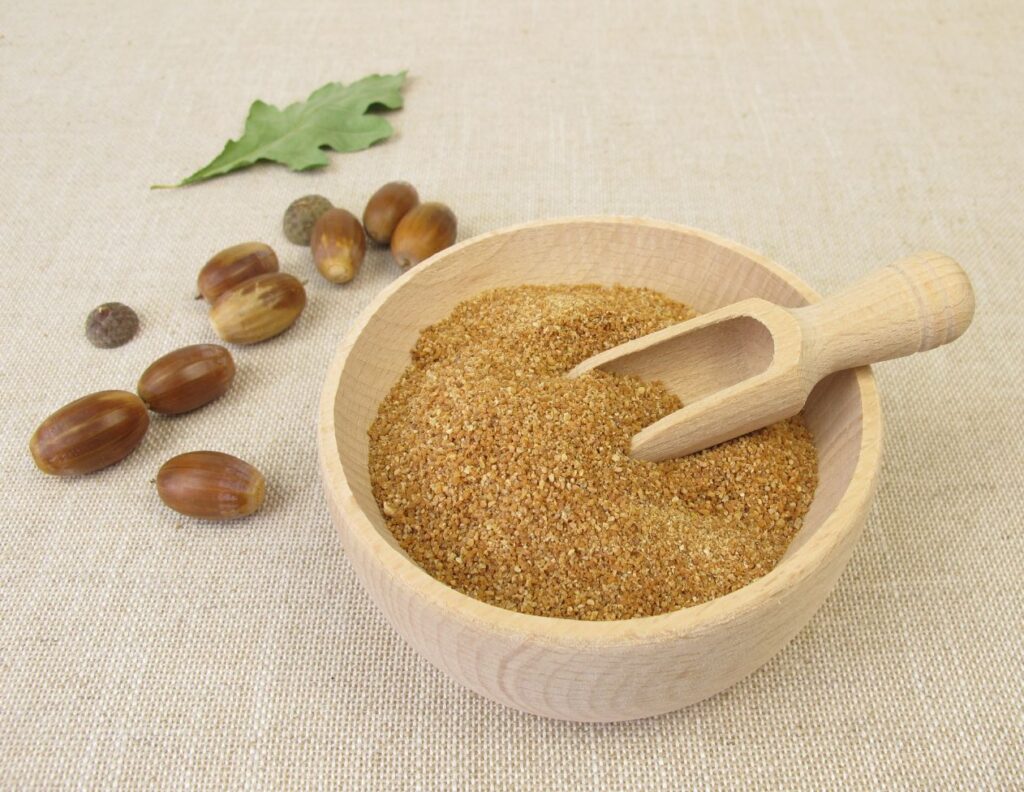 How to Make Acorn Powder and Its Uses - MyNaturalTreatment.com