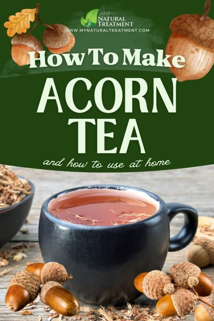 How to Make Acorn Tea Uses - Original Acorn Tea Recipe - NaturalTreatment.com