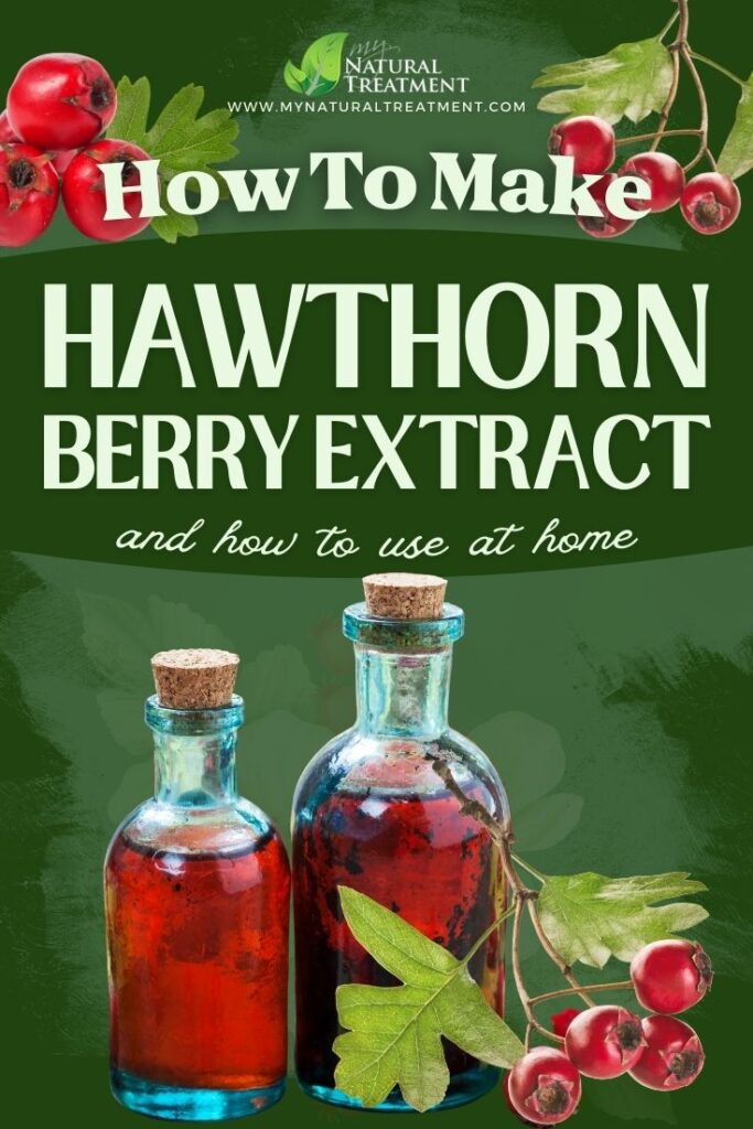How to Make Hawthorn Berries Extract - Hawthorn Berries Extract Recipe - MyNaturalTreatment.com