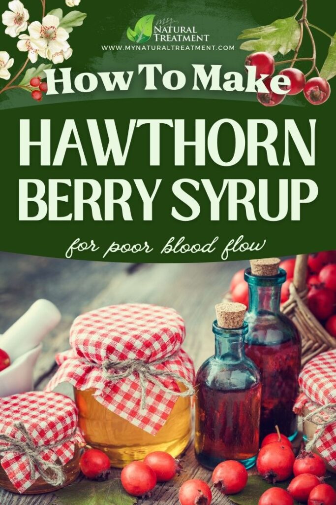 How to Make Hawthorn Berries Syrup for Poor Blood Flow - Hawthorn Berry Syrup Recipe - MyNaturalTreatment.com