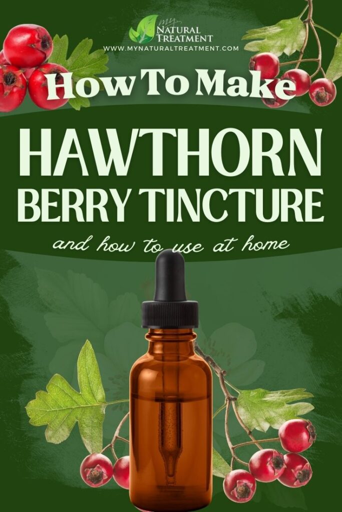 How to Make Hawthorn Berries Tincture - Hawthorn Berries Tincture Recipe - MyNaturalTreatment.com