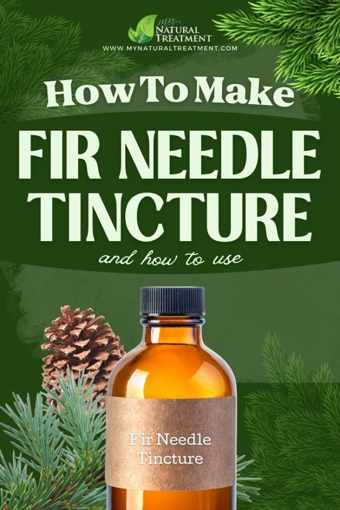 Fir Needle Tincture Recipe - Fir Needle Tincture Uses - MyNaturalTreatment.com