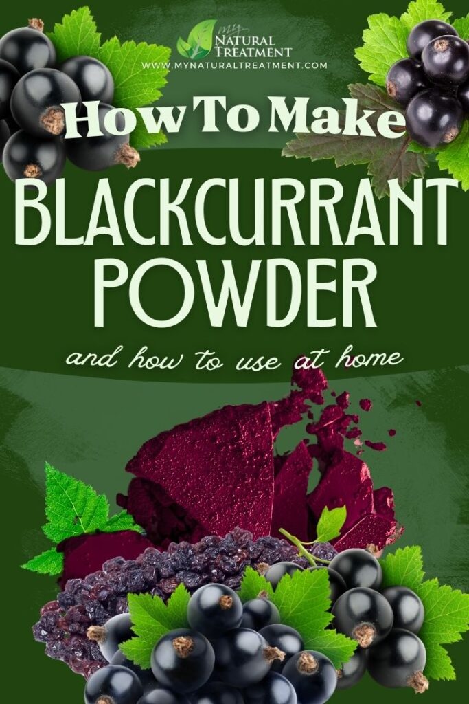 How to Make Blackcurrant Powder and Use at Home Blackcurrant Powder Uses MyNaturalTreatment.com