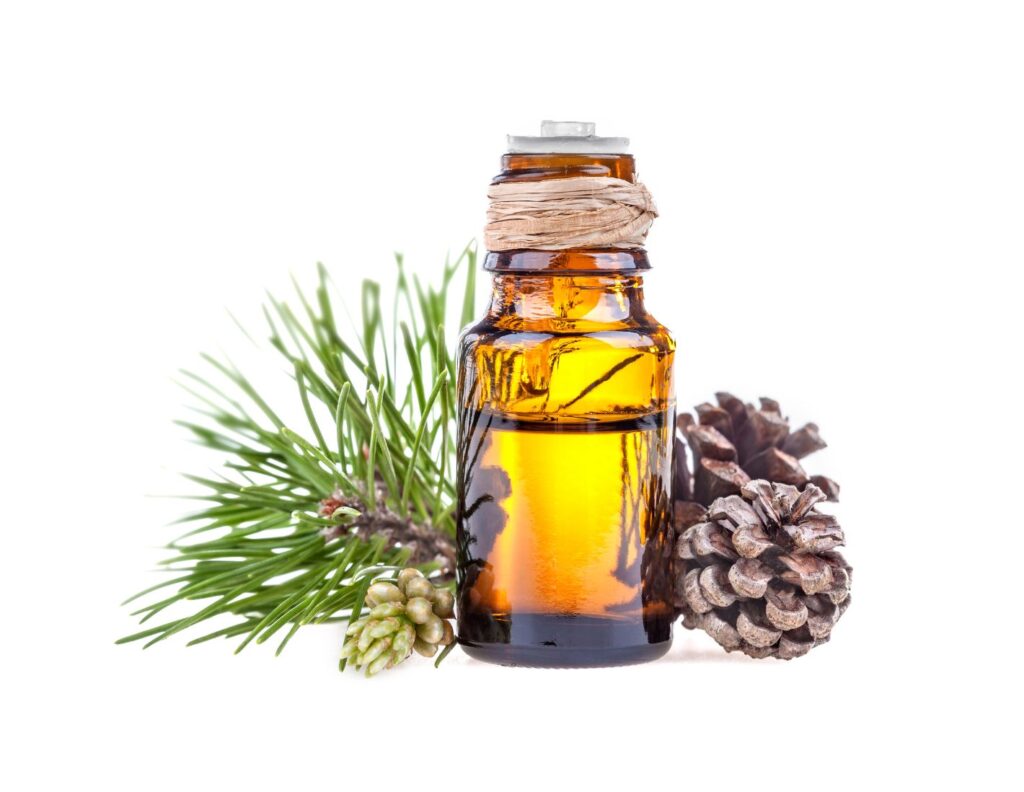 How to Make Pine Needle Tincture and Use - MyNaturalTreatment.com