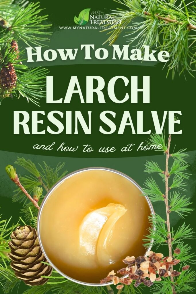 Larch Resin Salve Recipe and How to Use - MyNaturalTreatment.com - MyNaturalTreatment.com