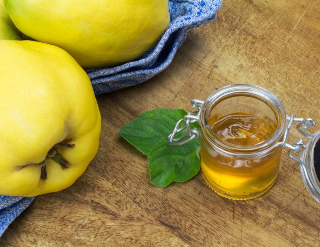 Healing Recipes with Quince You Didnt Know Health Uses of Quince MyNaturalTreatment.com