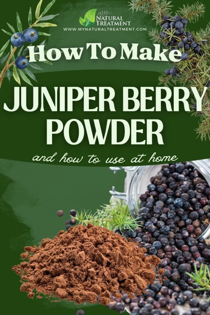 How to Make Juniper Berry Powder & Use - Juniper Berry PowderUses - MyNaturalTreatment.com
