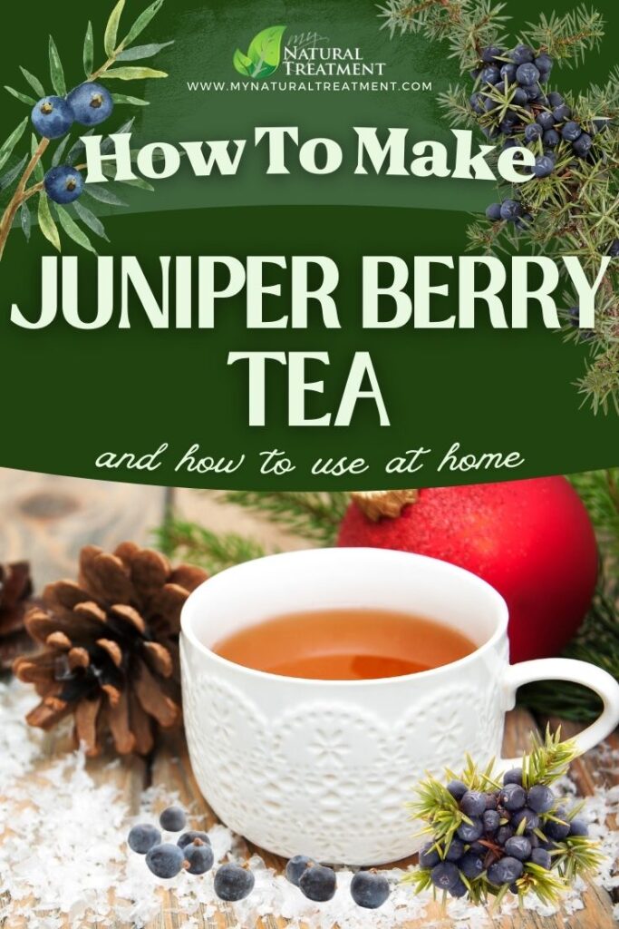 How to Make Juniper Berry Tea Recipe - Juniper Tea Uses - MyNaturalTreatment.com