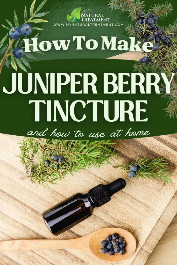How to Make Juniper Berry Tincture Use Juniper Berry Tincture Uses MyNaturalTreatment.com 1