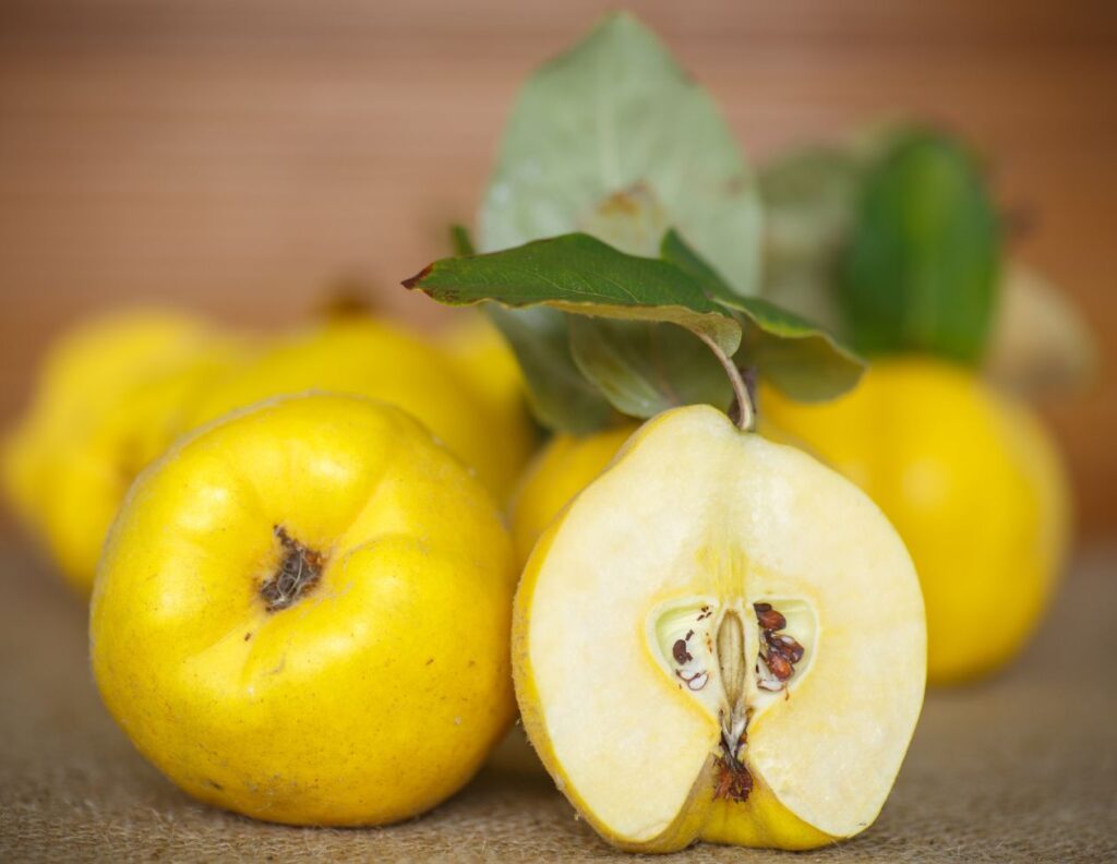 How to Make Quince Seed Maceration and Use at Home - Health Uses of Quince - MyNaturalTreatment.com