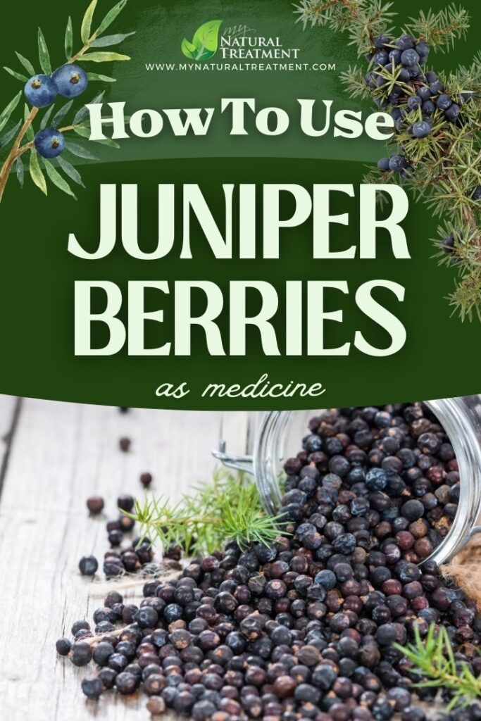How to Use Juniper Berries as Medicine - Juniper Berries Uses - MyNaturalTreatment.com
