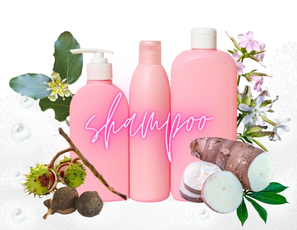 5 Best Herbs for Shampoo - Herbs High in Saponins  - MyNaturalTreatment.com