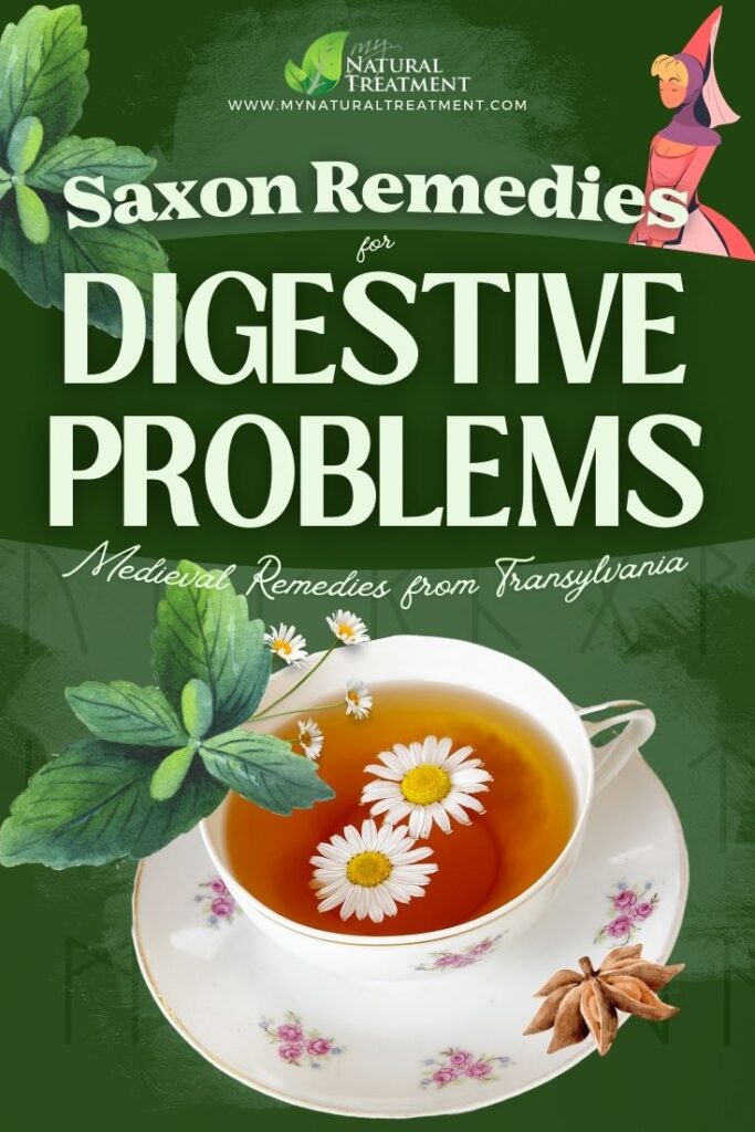 5 Medieval Transylvanian Saxon Remedies for Digestive Problems - MyNaturalTreatment.com