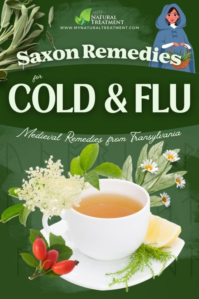 7 Medieval Transylvanian Saxon Remedies for Cold & Flu Symptoms - MyNaturalTreatment.com