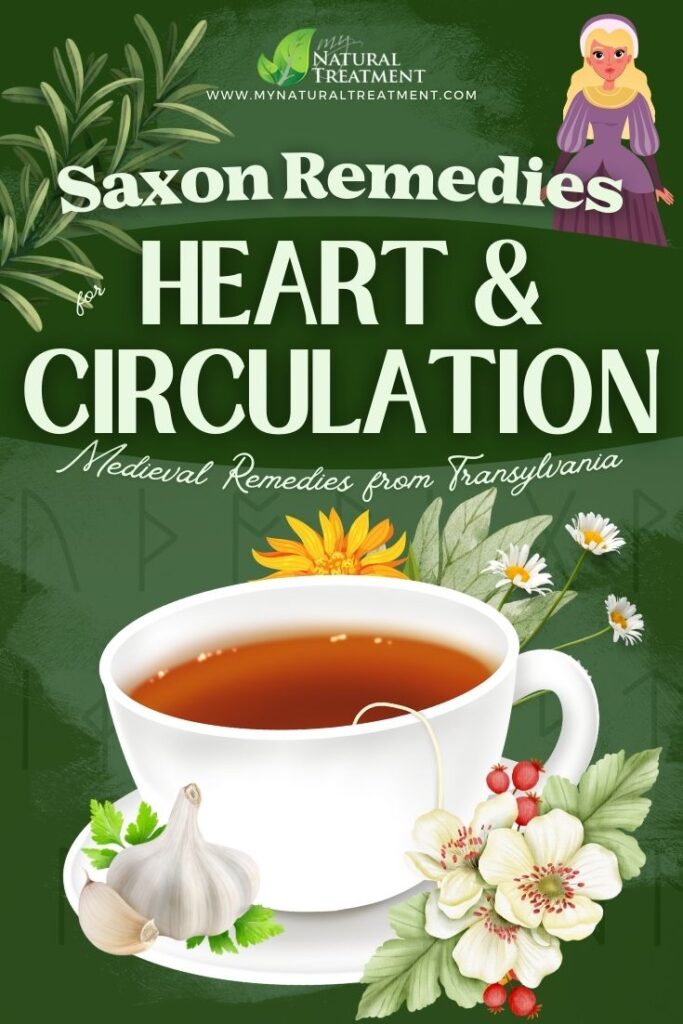 7 Medieval Transylvanian Saxon Remedies for Heart and Circulation- MyNaturalTreatment.com