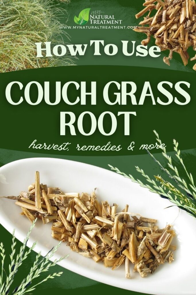Amazing Couch Grass Root Uses - MyNaturalTreatment.com