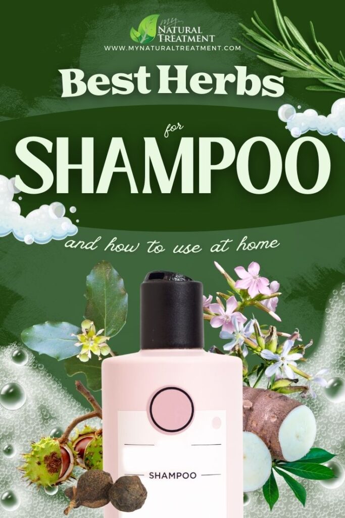 Best Herbs for Shampoo - Herbs High in Saponins - MyNaturalTreatment.com