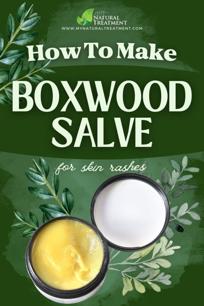 How to Make Boxwood Salve for Skin Rashes - MyNaturalTreatment.com