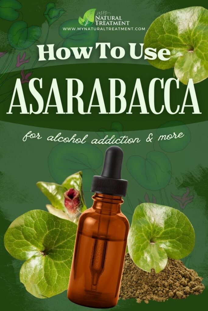How to Use Asarabacca for Alcohol Addiction