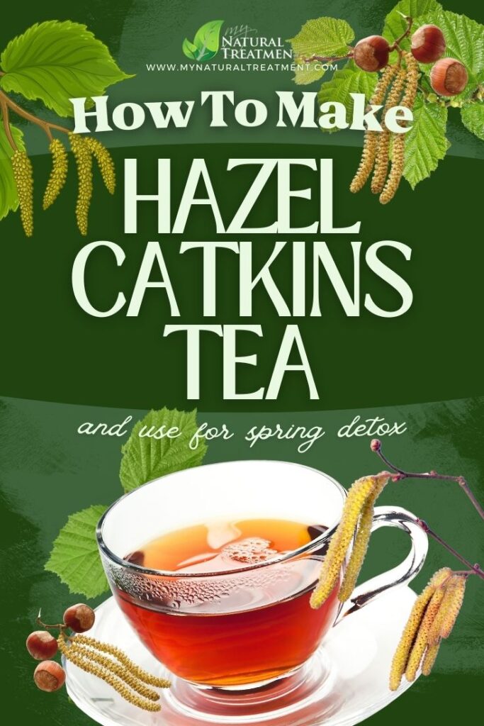 How to Make Hazel Catkins Tea & Use for Spring Detox - Spring Detox Tea - MyNaturalTreatment.com