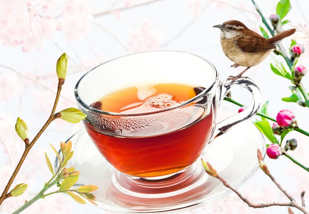 How to Make Johannes Künzle's Spring Cleanse Tea - Cleanse Tea Benefits - MyNaturalTreatment.com