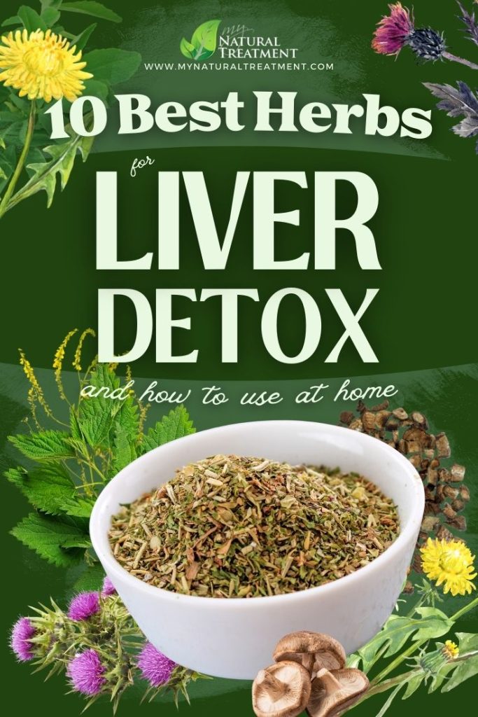 10 Best Herbs for Liver Detox and How to Use - Liver Detox Herbs - MyNaturalTreatment.com